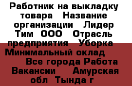 Работник на выкладку товара › Название организации ­ Лидер Тим, ООО › Отрасль предприятия ­ Уборка › Минимальный оклад ­ 28 200 - Все города Работа » Вакансии   . Амурская обл.,Тында г.